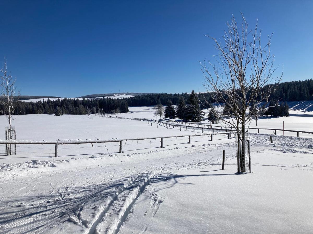Apartmány Hacienda Boží Dar Esterno foto